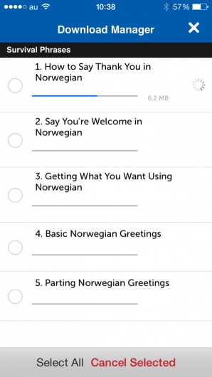 Screenshot 4 - Innovative Language 101: Learn Norwegian on the go! 