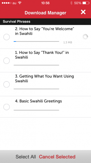 Screenshot 4 - Innovative Language 101: Learn Swahili on the go! 