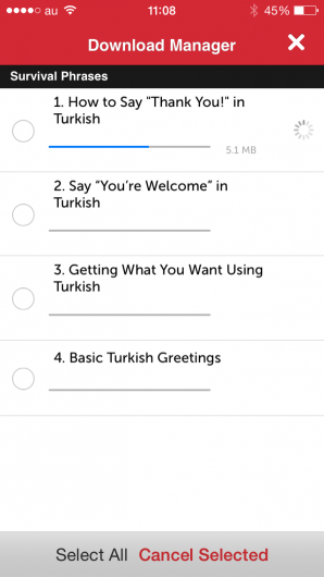 Screenshot 4 - Innovative Language 101: Learn Turkish on the go! 
