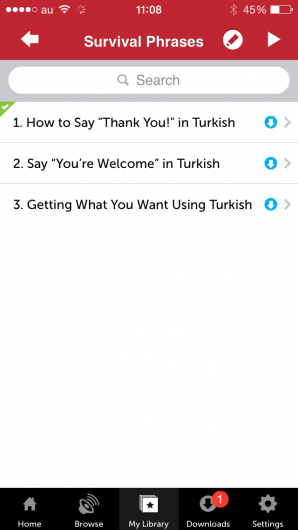 Screenshot 5 - Innovative Language 101: Learn Turkish on the go! 