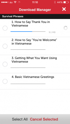 Screenshot 4 - Innovative Language 101: Learn Vietnamese on the go! 