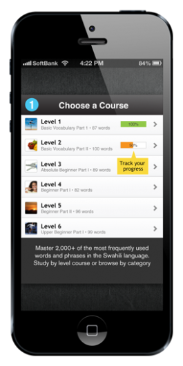 Screenshot 2 - Learn Swahili - WordPower 